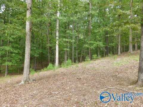 9 Spindletop Drive, Guntersville, AL 35976