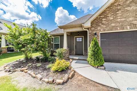 174 Bowdock Drive, Madison, AL 35756