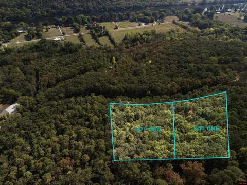 001-01299-000 DWELLE ROAD, Norfork, AR 72658
