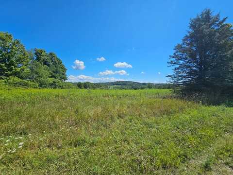 51 Lurcock Rd, Sayre, PA 18840