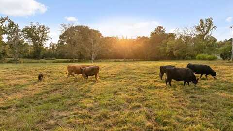 446 Brown Bridge Road, Chatsworth, GA 30705