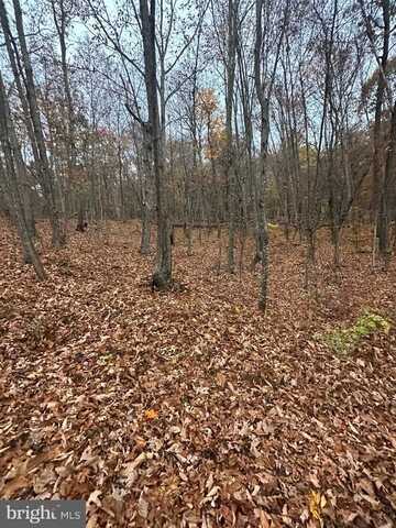 Lot 370 Crosswoods, Fort Valley, VA 22652
