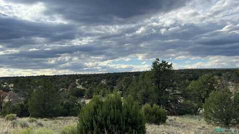 Warpath Rd Road, Quemado, NM 87829