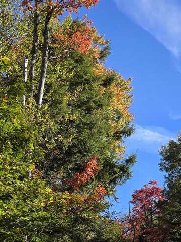 0 Klondike Road, Stamford, VT 05352