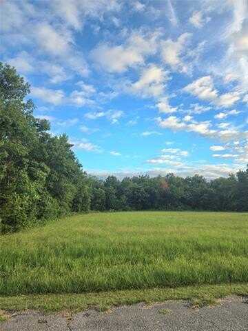 Peach, Locust Grove, OK 74352
