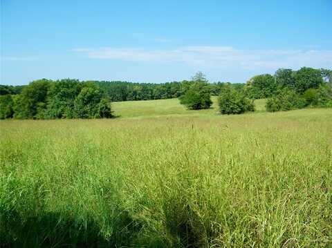 901 Sycamore Bend Loop, Broken Bow, OK 74728