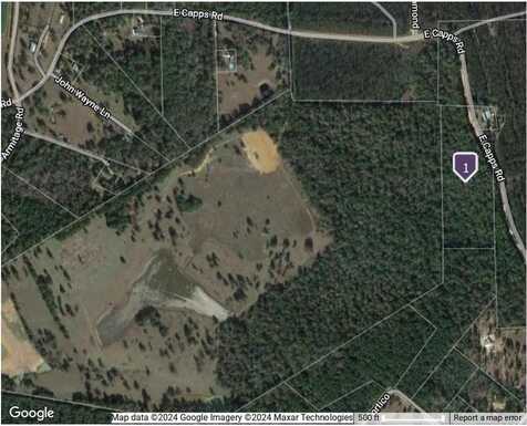 Tbd Capps Road, Livingston, TX 77351