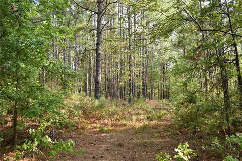 0 County Road 175, Garrison, TX 75946