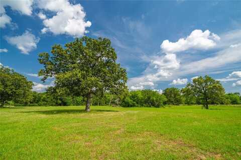 1281 FM 138, Garrison, TX 75946