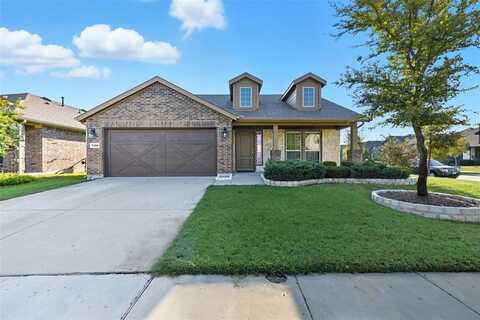 7433 Wispy Willow Lane, Little Elm, TX 76227