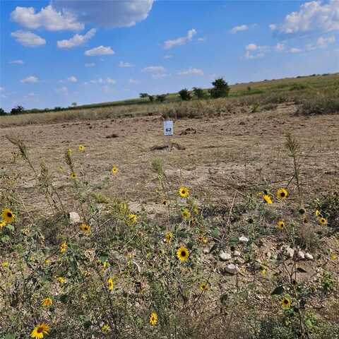 3305 Bounty Drive, Granbury, TX 76035