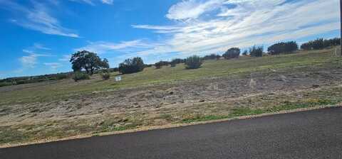 478 Hollow Drive, Lipan, TX 76048