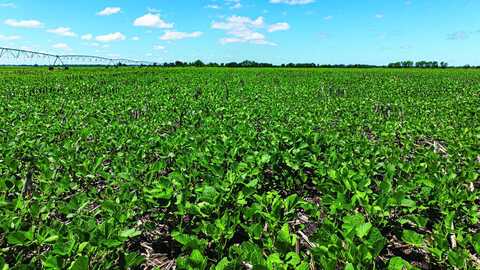 TBD Oregon Trail Rd, Belvue, KS 66047