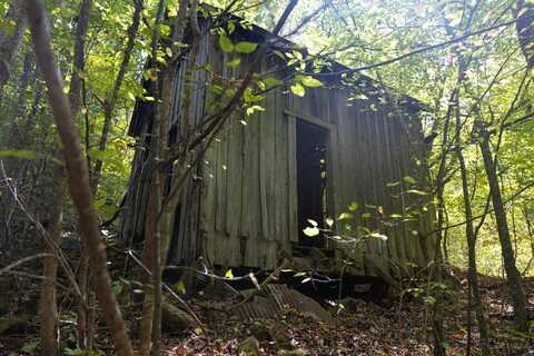 00 County Road 8, Waterloo, AL 35677