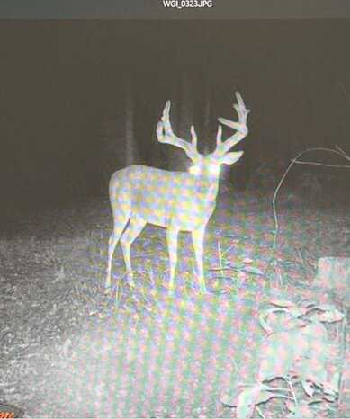 00 Holly Grove Meeks Rd, Cruger, MS 38924