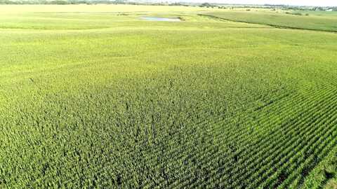 0 Highway 169 & 130th Street, Arispe, IA 50831