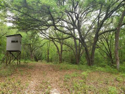 268 Jonestown Road, Clio, AL 36017