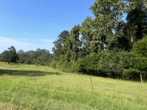 1 County Road 223, New Brockton, AL 36351