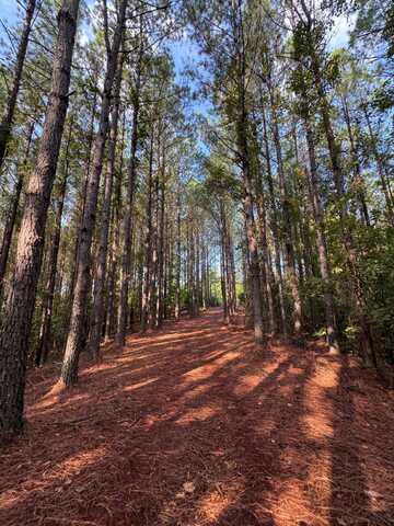 455 Longwood, Grenada, MS 38901