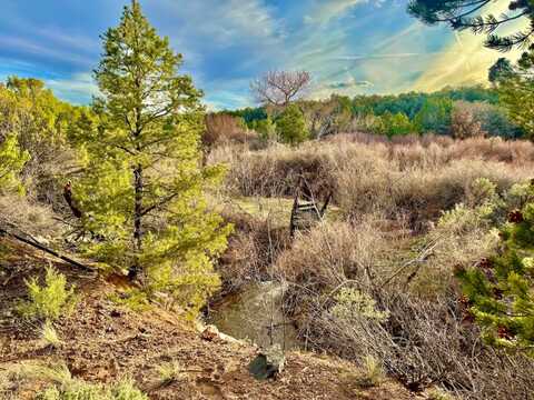 4665 S 9 8/10 Rd, Glade Park, CO 81523