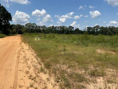 560 Pond Creek Road, Luverne, AL 36049