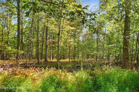 Spring Run Ln 17, Cresco, PA 18326