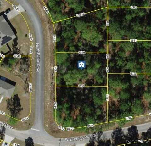 8753 N Raidin Drive, Citrus Springs, FL 34433