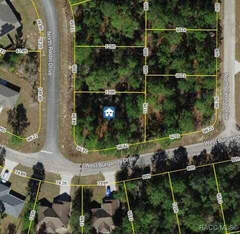8737 N Raidin Drive, Citrus Springs, FL 34433