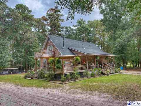1740 Grain Bin Road, Lake View, SC 29563
