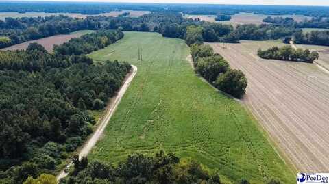 TBD Tobacco Land Rd, Latta, SC 29536