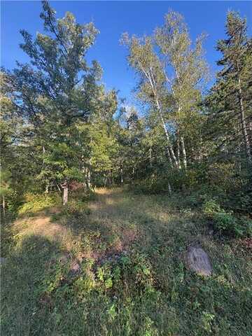 Tbd Elm Trail, Nevis, MN 56467
