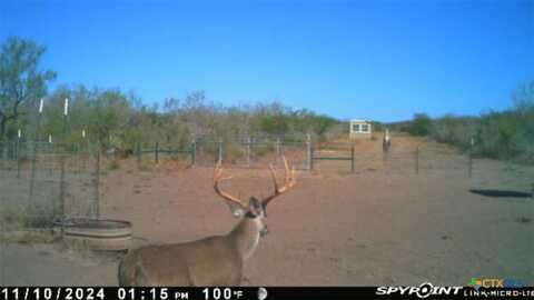 0 TR 123 TRIPLE T-BAR-L RCH, Freer, TX 78341