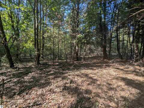 N/A N Forest Lake Drive, Alger, MI 48610