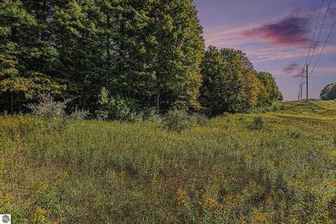 00 Wilson Road, Buckley, MI 49620