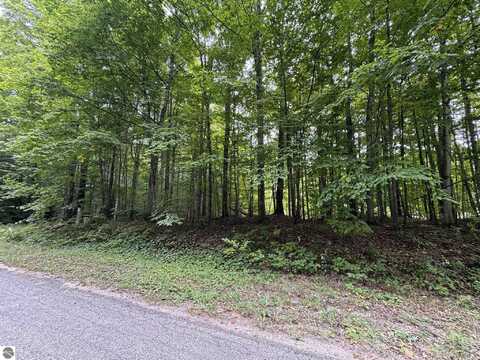 S Green Court, Cedar, MI 49621