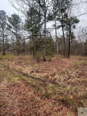 16 Rabbit Trail, Kirby, AR 71950