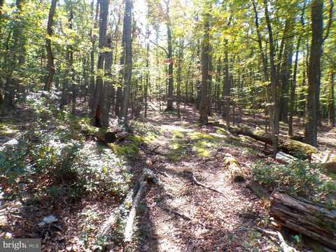 BIG HORN TRAIL, AUGUSTA, WV 26704
