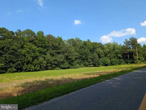 13111 BLANCHARD ROAD, GREENWOOD, DE 19950