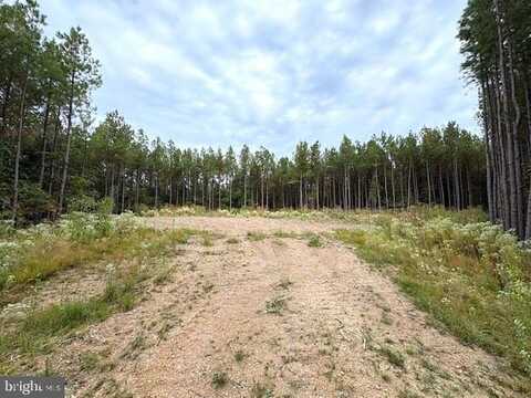26.89 AC N. TEXAS ROAD, DELRAY, WV 26714