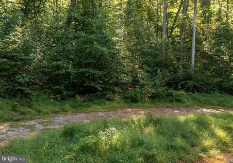 RIGGS HOLLOW, CAPON BRIDGE, WV 26711