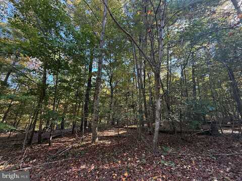 102 SOUTHWOOD, CROSS JUNCTION, VA 22625