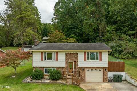 310 Brandonwood Drive, Johnson City, TN 37604