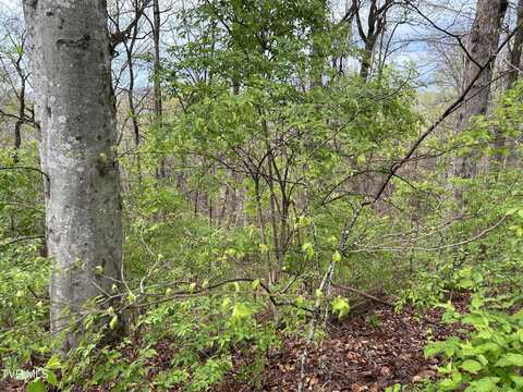 Missionary Ridge Rd, Newport, TN 37821