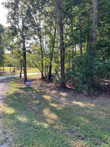 Sally Nell Lane, HURON, TN 38345