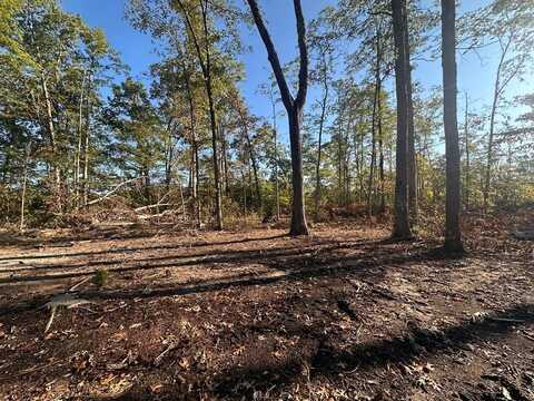 11.53 Government Pond Rd., Jamestown, TN 38556