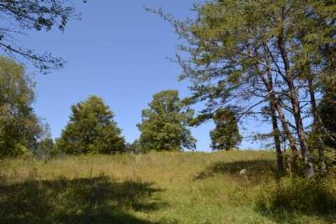 17.13ac Taylor Place Rd, Jamestown, TN 38504
