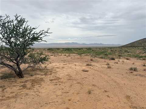 80 Acres Calle Bubba, Kingman, AZ 86401