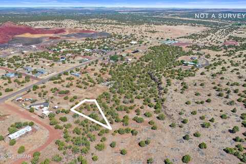 8795 Luana Drive, Show Low, AZ 85901