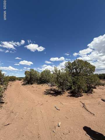 8933 Blue Jay Lane, Snowflake, AZ 85937