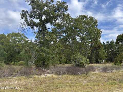 35 Gum Swamp Lake Road, Marston, NC 28363